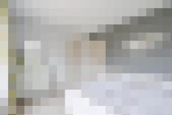 Vlietsingel 20 Medemblik thumbnail 22