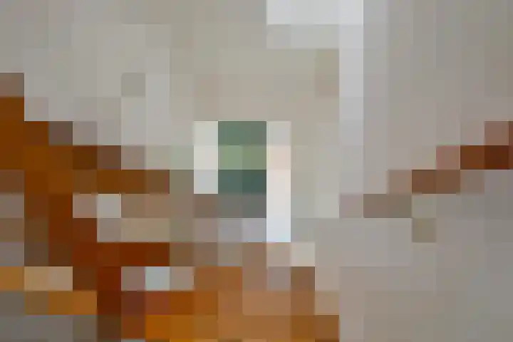 Vlietsingel 20 Medemblik thumbnail 32