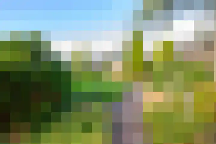 Vlietsingel 20 Medemblik thumbnail 51
