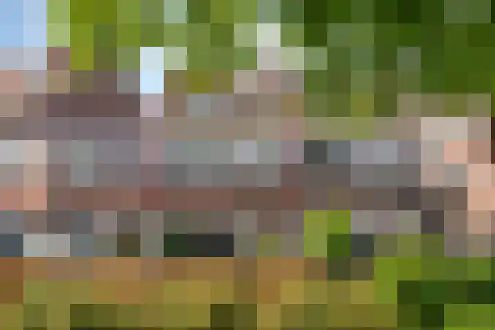 Vlietwaard 17 dans Alkmaar
