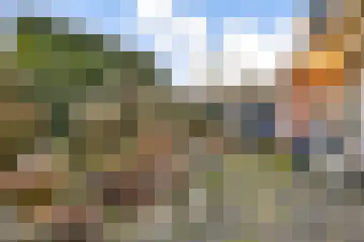 Vlietweg 3 Barendrecht thumbnail 11