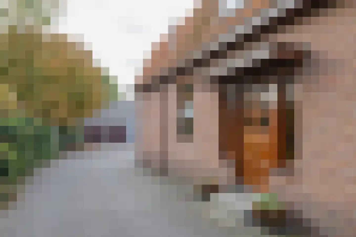 Vlietweg 84 Leiden thumbnail 7