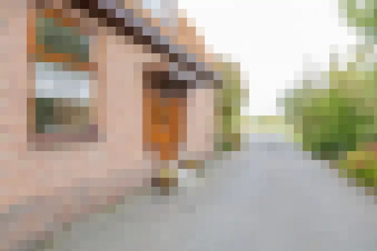 Vlietweg 84 Leiden thumbnail 9