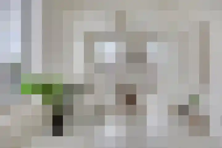 Vlijt en Phoenix 11 Bodegraven thumbnail 11