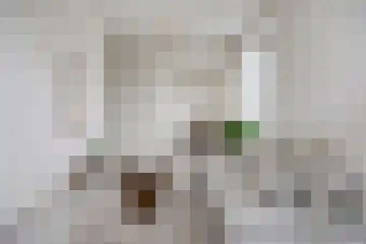 Vlijt en Phoenix 11 Bodegraven thumbnail 12