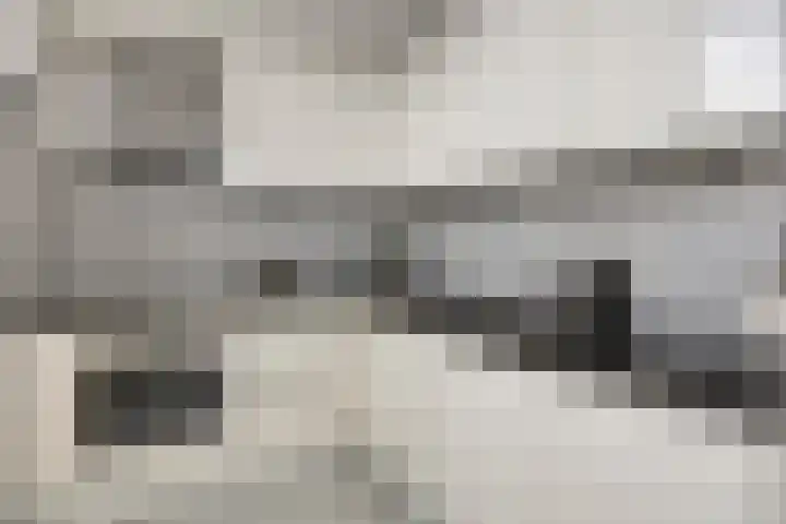Vlijt en Phoenix 11 Bodegraven thumbnail 15