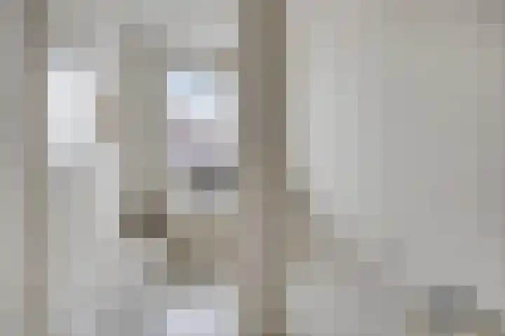 Vlijt en Phoenix 11 Bodegraven thumbnail 16