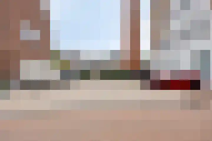 Vlijt en Phoenix 11 Bodegraven thumbnail 5