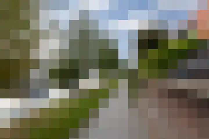 Logo Vlindermolen Makelaardij