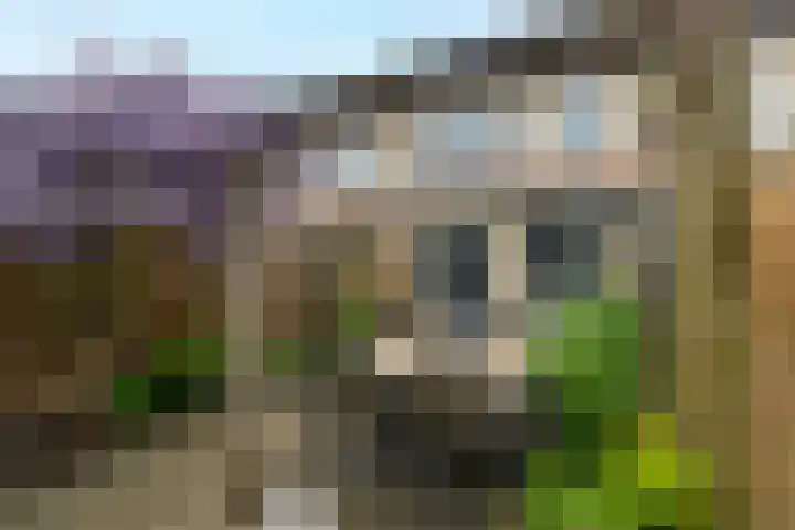 Vlinderslag 28 Almkerk thumbnail 25