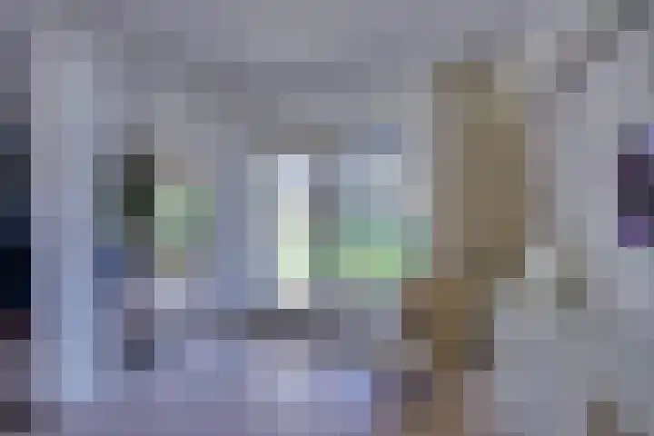 Vlinderslag 3 Almkerk thumbnail 11