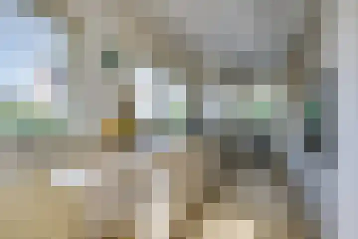 Vlinderslag 3 Almkerk thumbnail 15
