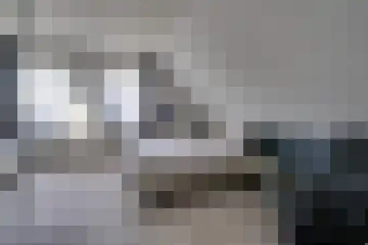 Vlinderslag 3 Almkerk thumbnail 19