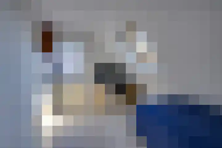 Vlinderslag 3 Almkerk thumbnail 22