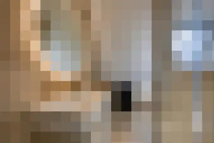 Vlinderslag 3 Almkerk thumbnail 25