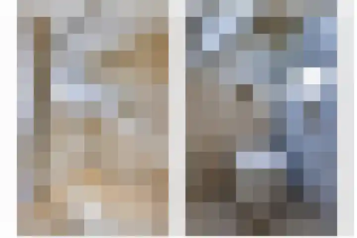 Vlinderslag 3 Almkerk thumbnail 26
