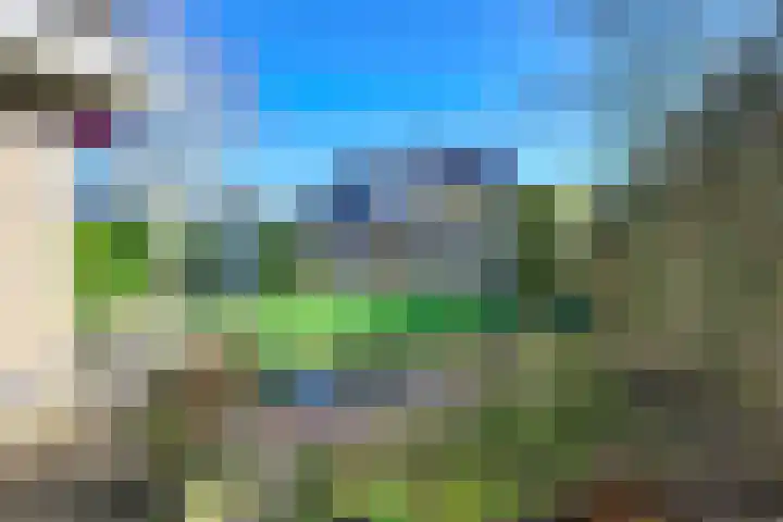 Vlinderslag 3 Almkerk thumbnail 28