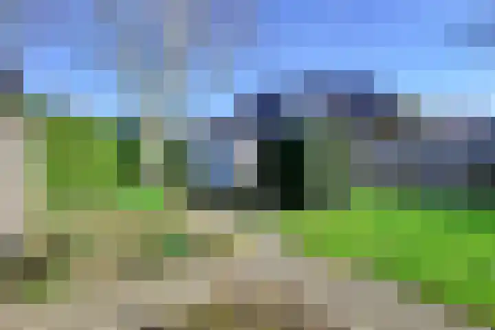 Vlinderslag 3 Almkerk thumbnail 29