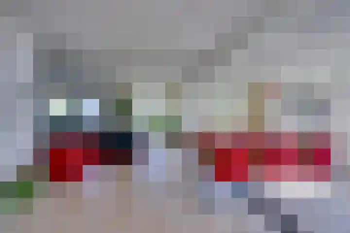 Vlinderslag 3 Almkerk thumbnail 9