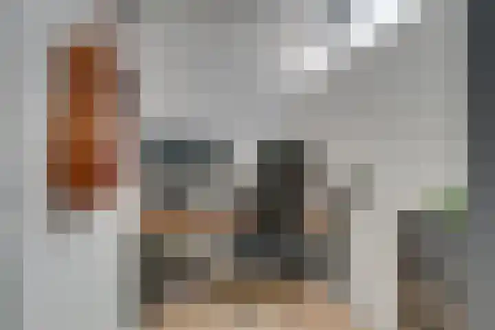 Vlinderslag 52 Almkerk thumbnail 16