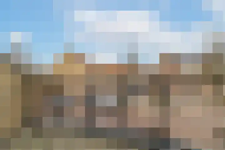Vlinderslag 52 Almkerk thumbnail 17