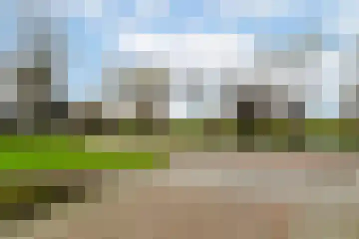 Vlinderslag 52 Almkerk thumbnail 31