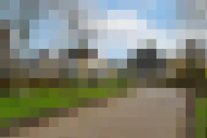 Vlinderslag 52 Almkerk thumbnail 32