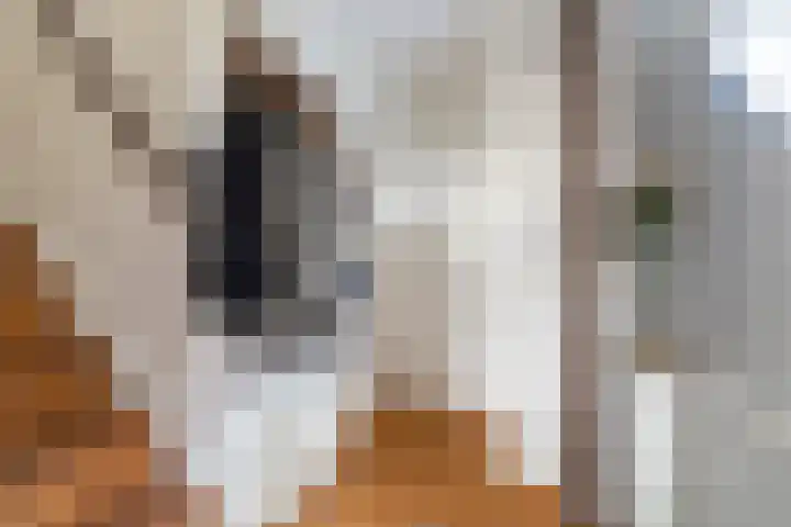 Vlinderslag 52 Almkerk thumbnail 4