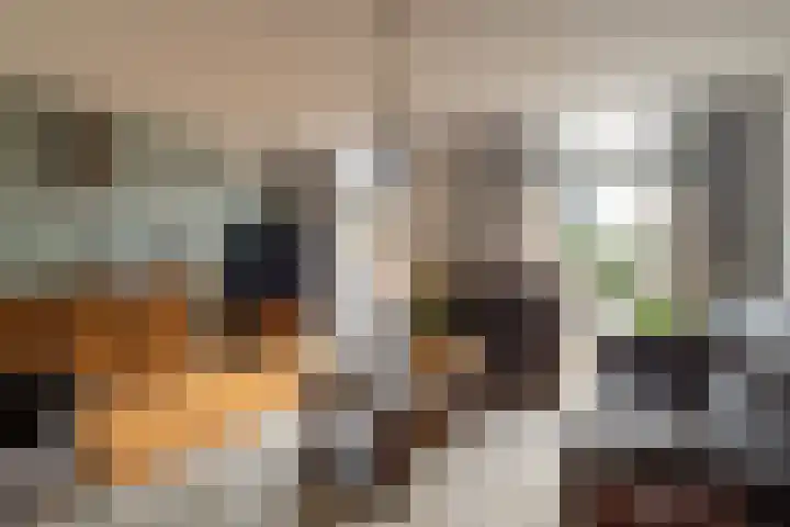 Vlinderslag 52 Almkerk thumbnail 7