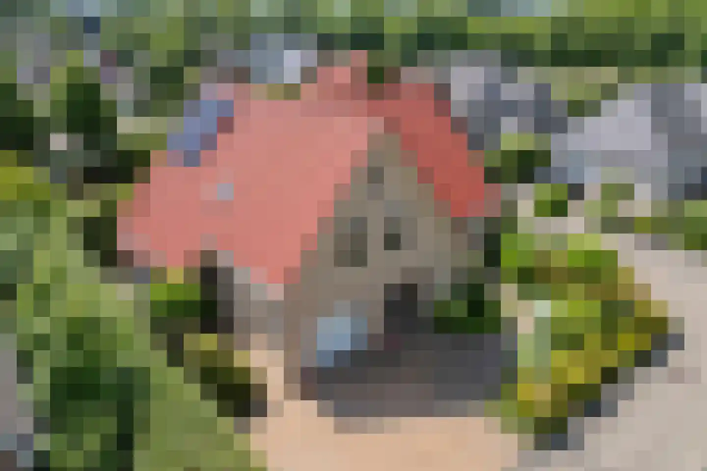 Vlinderslag 52 Almkerk thumbnail 9