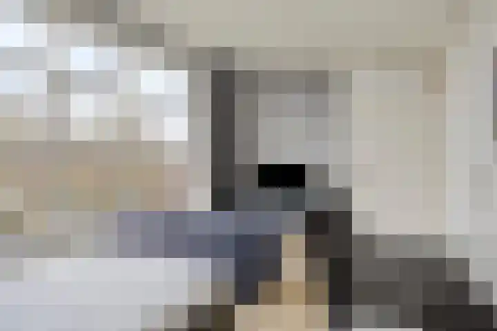 Vlinderstraat 25 Oss thumbnail 21