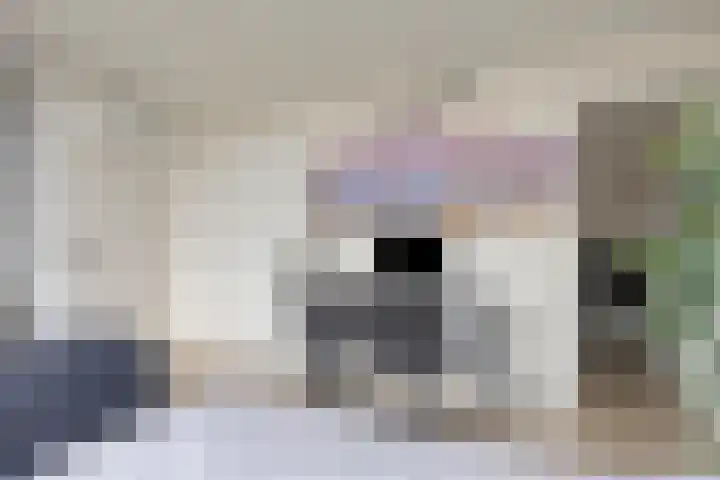 Vlinderstraat 25 Oss thumbnail 22