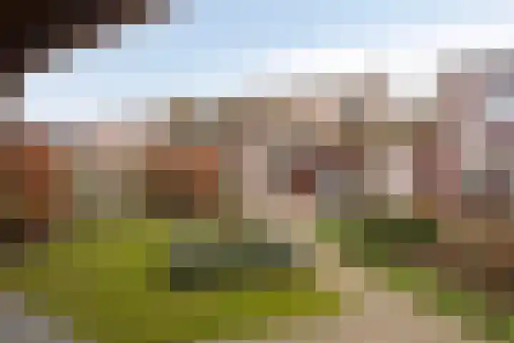 Vlinderstraat 25 Oss thumbnail 25