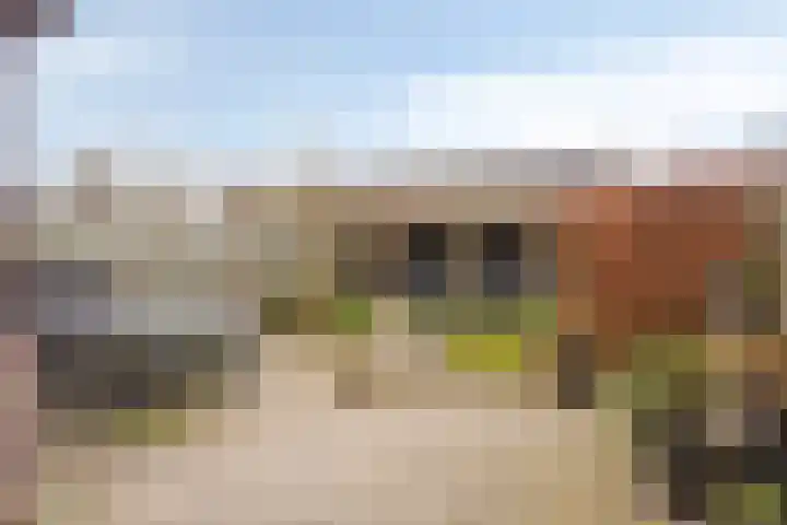 Vlinderstraat 25 Oss thumbnail 26