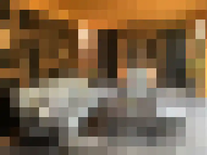 Vlinderstraat 25 Oss thumbnail 28