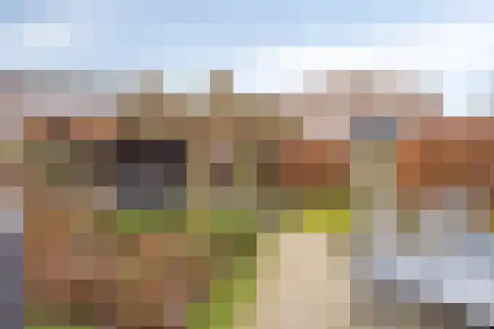 Vlinderstraat 25 Oss thumbnail 31