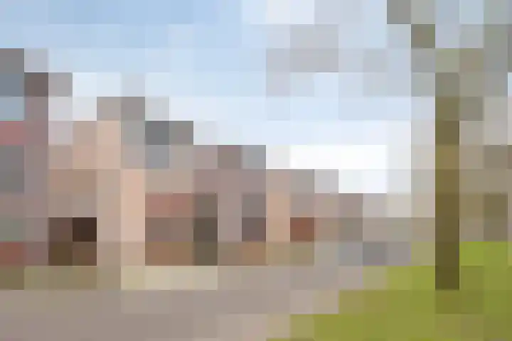 Vlinderstraat 25 Oss thumbnail 33