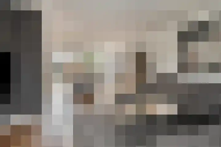 Vlinderstraat 25 Oss thumbnail 5