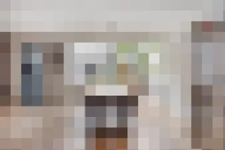 Vlinderstraat 25 Oss thumbnail 6