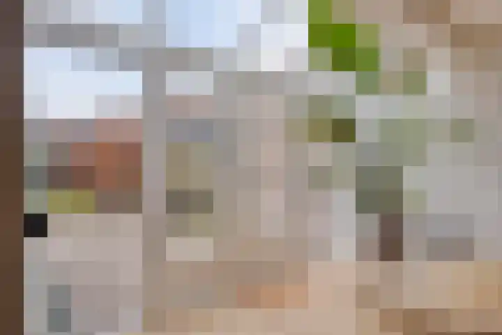 Vlinderstraat 25 Oss thumbnail 8