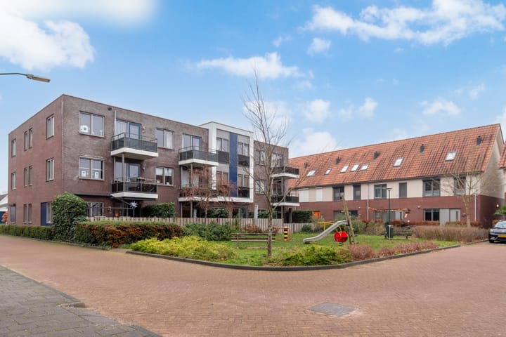 Vlindertuin 42 in Veenendaal foto