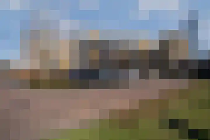 Vlindertuin 7 Veenendaal thumbnail 20