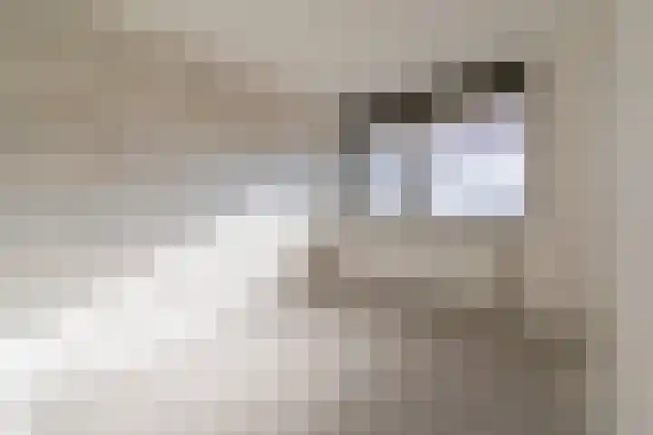 Vlindertuin 7 Veenendaal thumbnail 7
