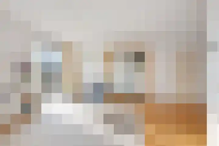 Vlintdreef 26 Assen thumbnail 10