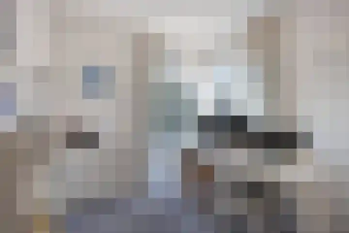 Vlintdreef 26 Assen thumbnail 24