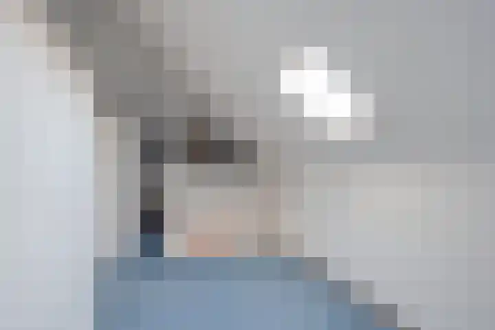 Vlintdreef 26 Assen thumbnail 27