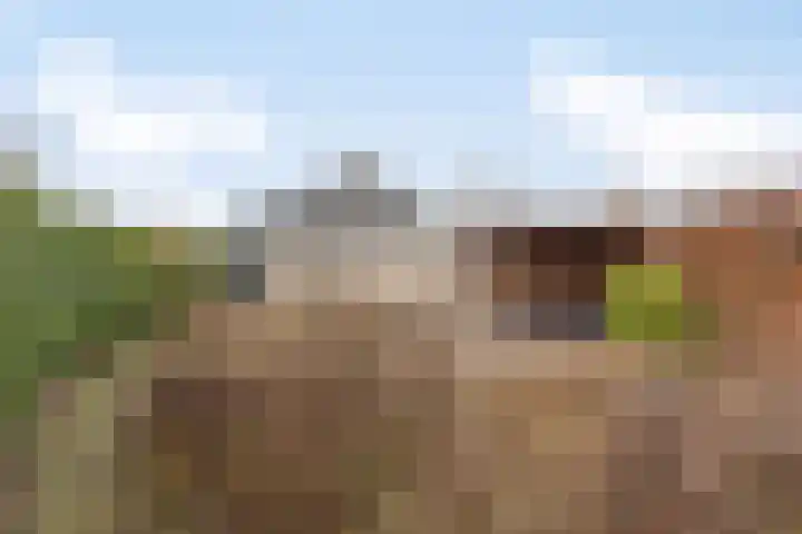Vlintdreef 26 Assen thumbnail 36