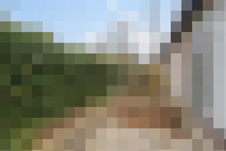 Vlintdreef 26 Assen thumbnail 38