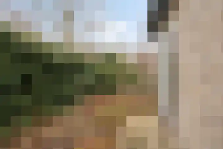 Vlintdreef 26 Assen thumbnail 39