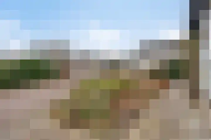 Vlintdreef 26 Assen thumbnail 41